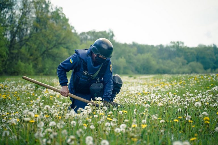 На Прикарпатті в полі натрапили на застарілі боєприпаси