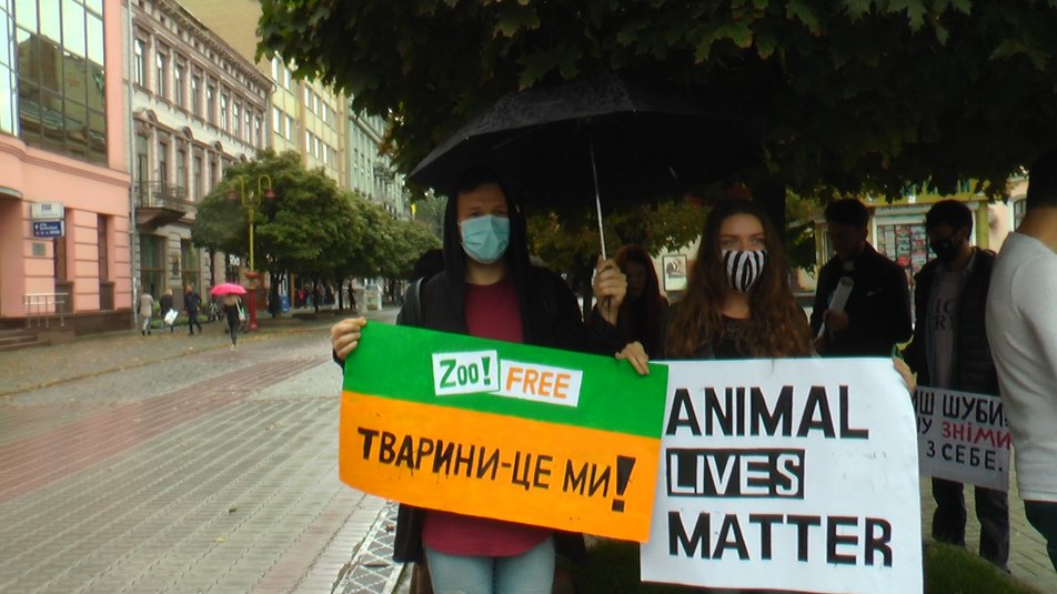 Франківці протестували проти жорстокого поводження з тваринами ФОТО та ВІДЕО