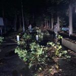 Нічна стихія наробила чимало шкоди в парку Шевченка ФОТО