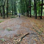 "Просимо уникати прогулянок",- вчорашній буревій наробив лиха у парку Шевченка ФОТО