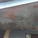 Франківську