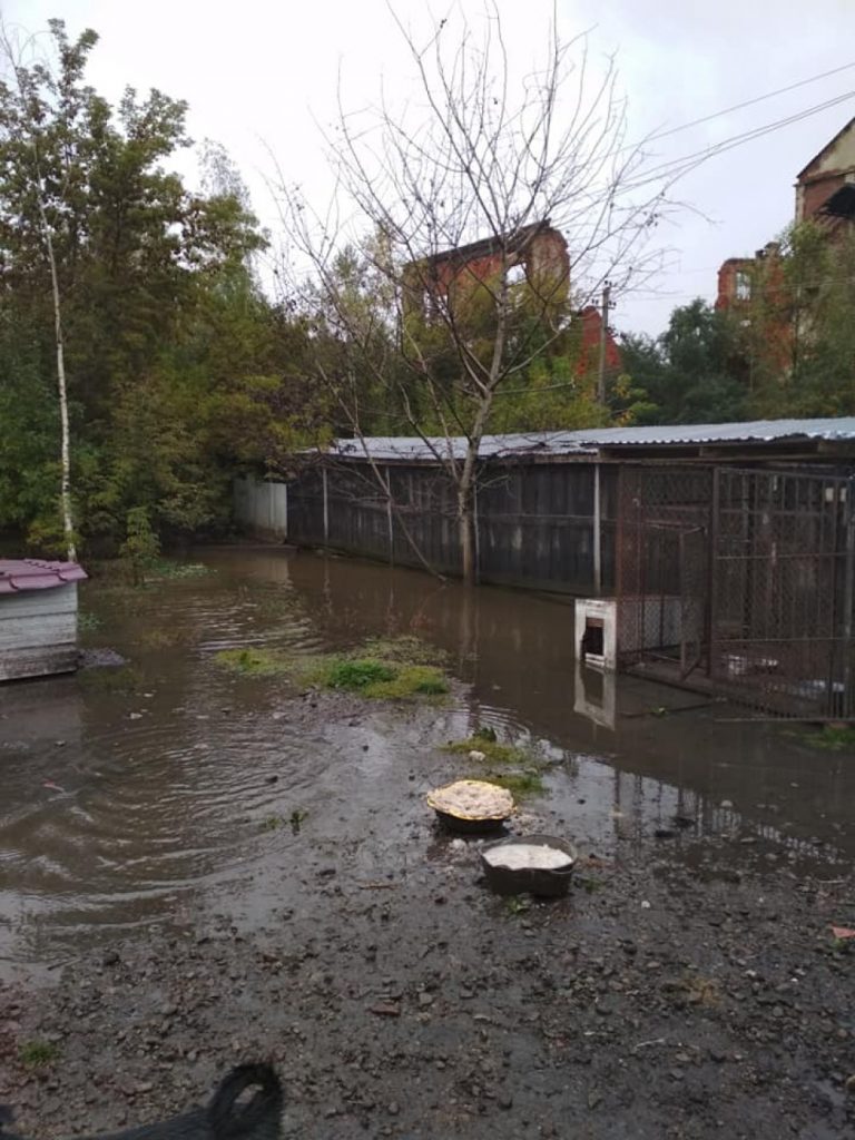 Калуський "Дім Сірка" потребує допомоги небайдужих