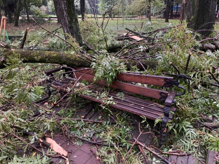 "Просимо уникати прогулянок",- вчорашній буревій наробив лиха у парку Шевченка ФОТО