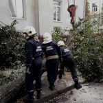 У Франківську рятувальники розрізали повалене дерево