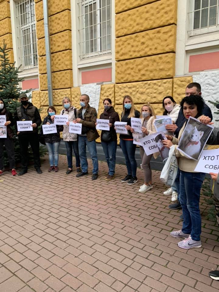 Франківці знову вийдуть на протест з вимогою знайти та покарати невідомих, які масово труять собак ФОТО