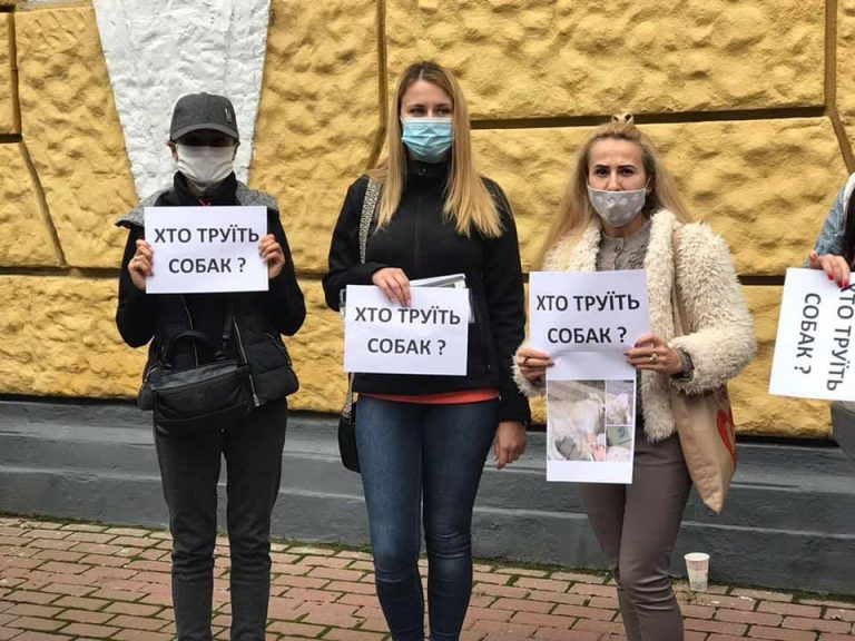 Франківці знову вийдуть на протест з вимогою знайти та покарати невідомих, які масово труять собак ФОТО