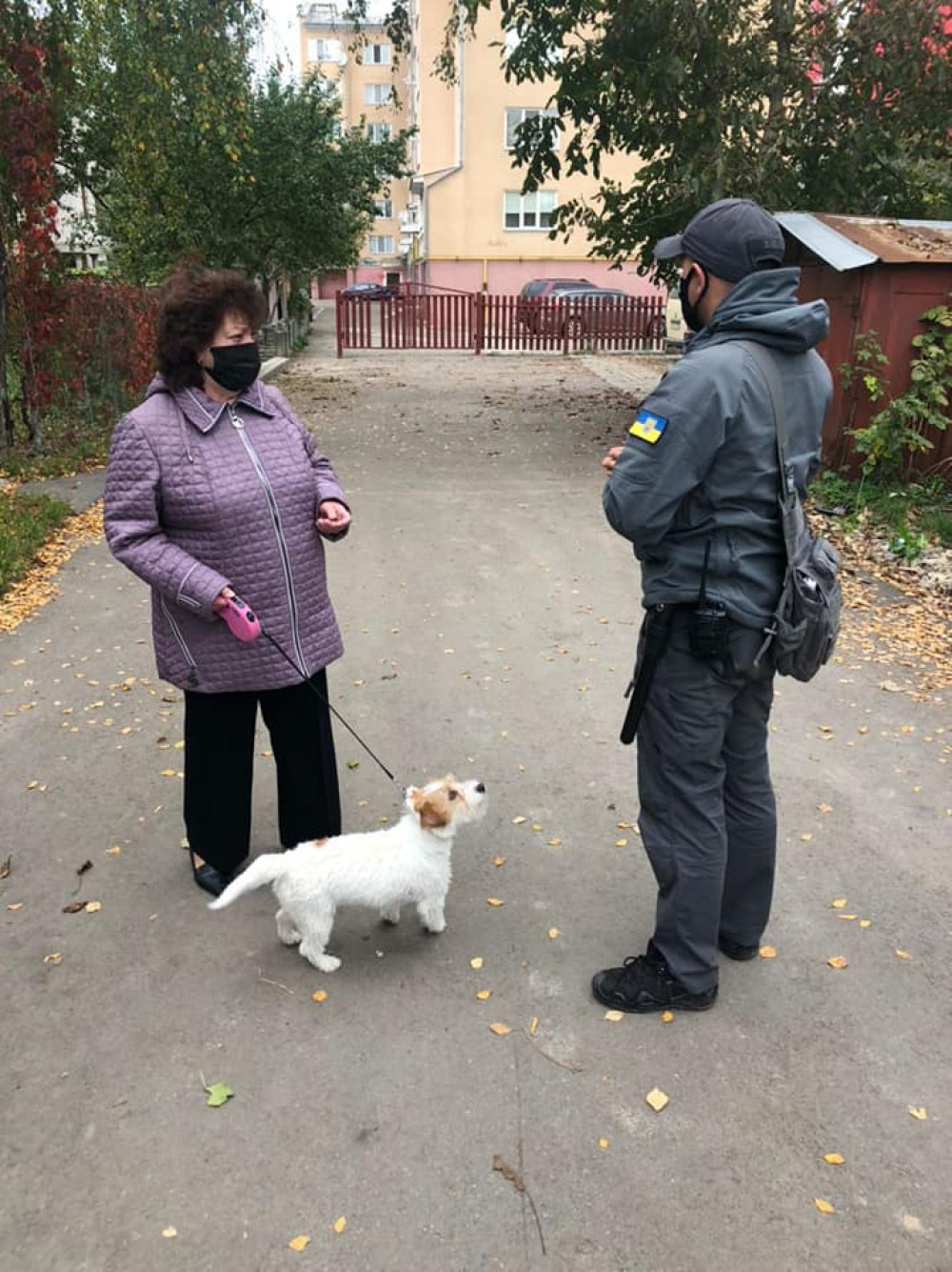 Через масові отруєння франківські муніципали взялись патрулювати місця вигулу собак ФОТО