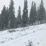 Зима вже близько: Карпати замело снігом ВІДЕО