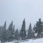 Зима вже близько: Карпати замело снігом ВІДЕО