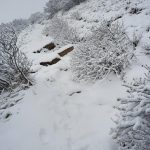 На Говерлі випав сніг ФОТО та ВІДЕО