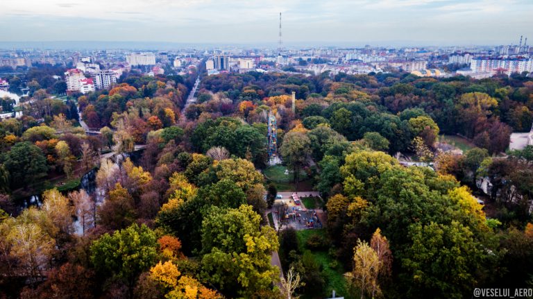 Мережу підкорюють неймовірної краси фото осіннього парку з висоти пташиного лету ФОТО