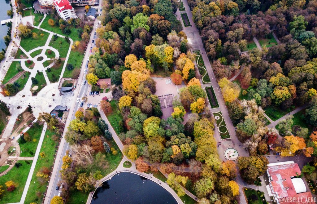 Мережу підкорюють неймовірної краси фото осіннього парку з висоти пташиного лету ФОТО
