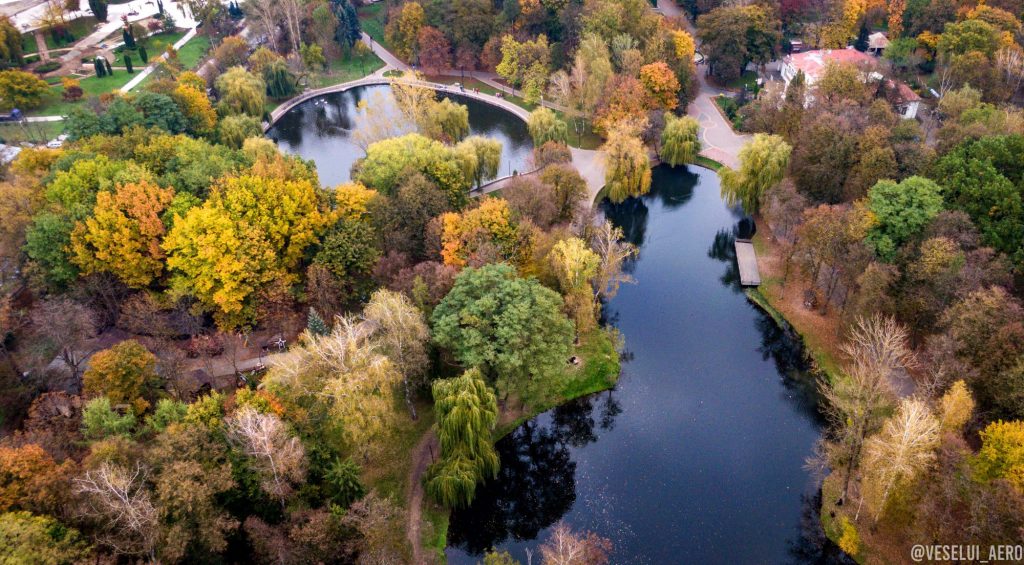 Мережу підкорюють неймовірної краси фото осіннього парку з висоти пташиного лету ФОТО