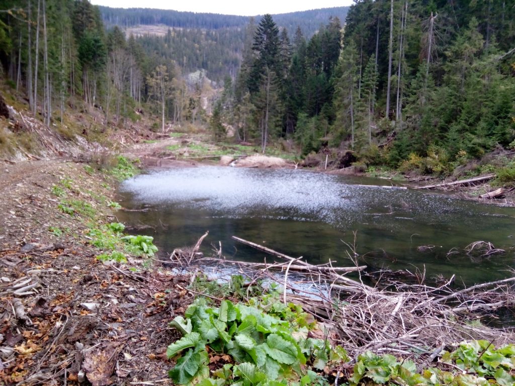 Активісти відновили у Карпатах озеро Лужки ФОТО