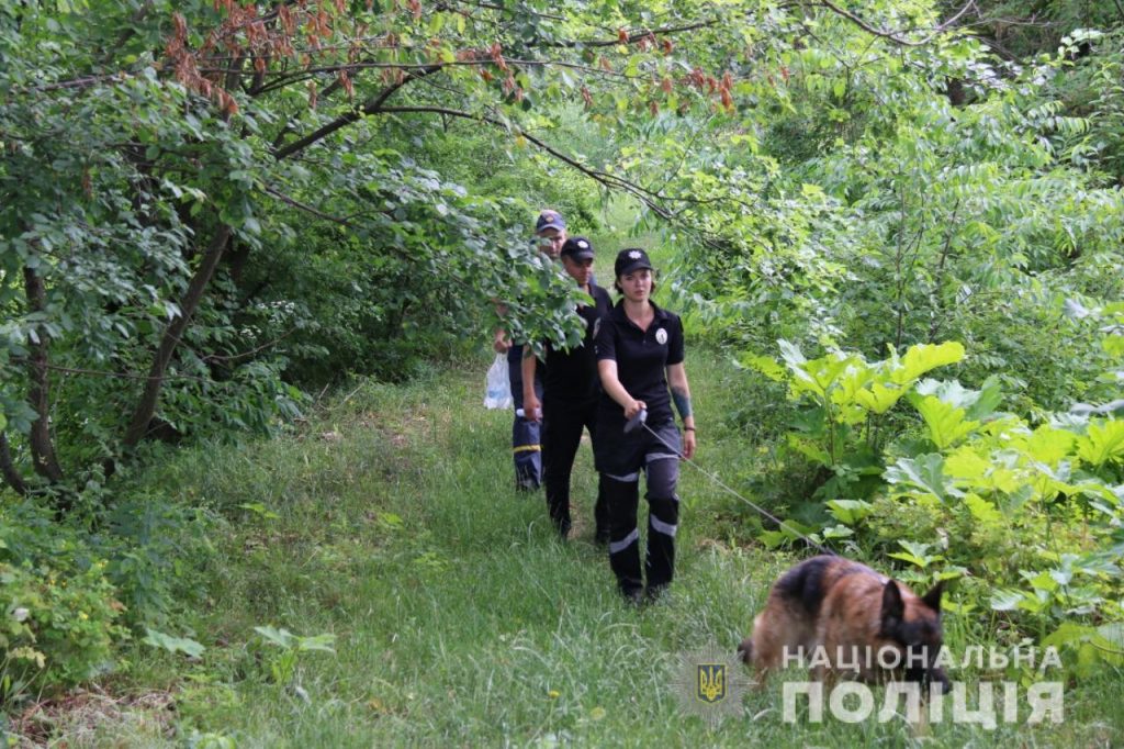 В лісі на Прикарпатті декілька днів поспіль шукують зниклого грибника