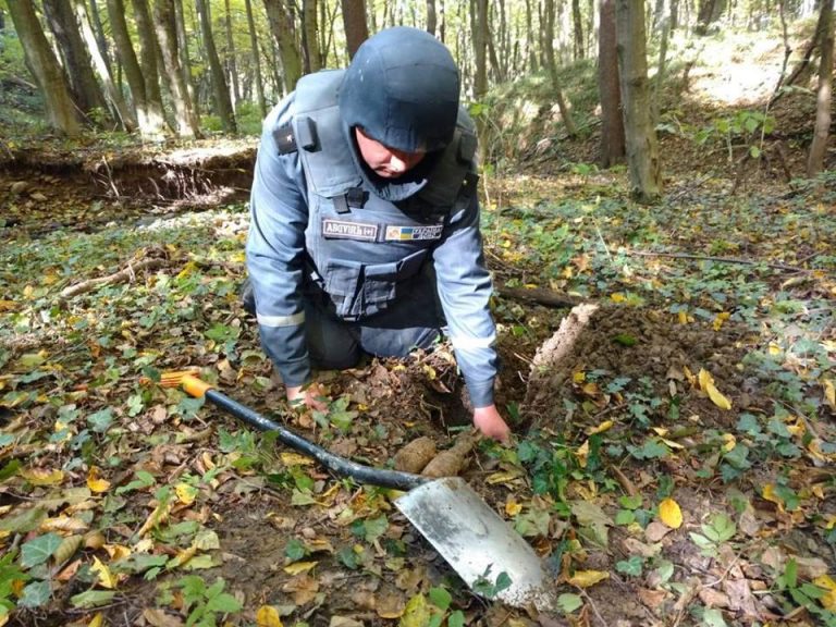 У лісі на Франківщині знешкодили 2 ручні гранати