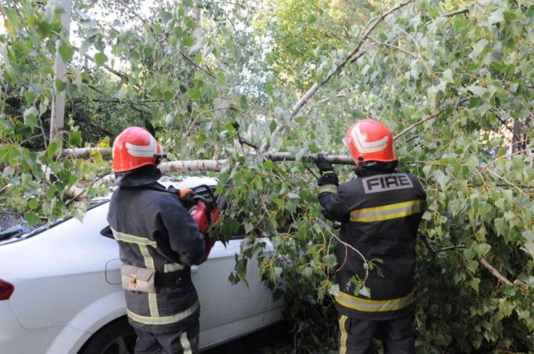 Франківські надзвичайники розпилювали повалені дерева, які пошкодили авто та будинок