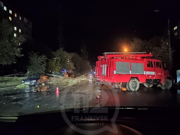 На Миколайчука шквальний вітер повалив дерево та стовб - рух ускладнений ФОТО