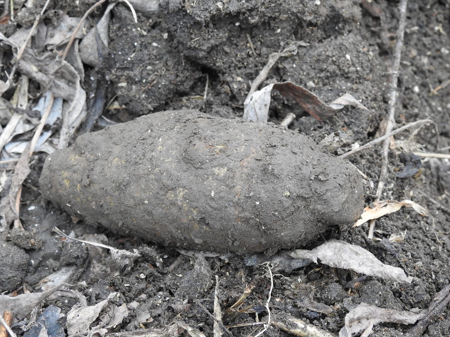 Прикарпатець на території свого обійстя виявив мінометну міну