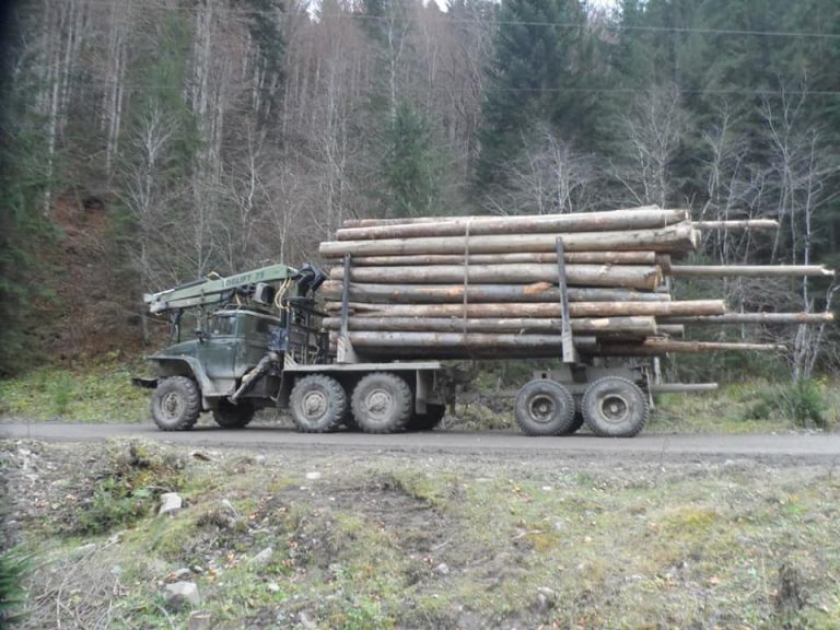 На Франківщині виявили лісовоз із необлікованим лісом