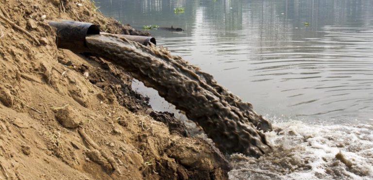 Прикарпатське підприємство забруднило землі стічними водами - справу подали до суду