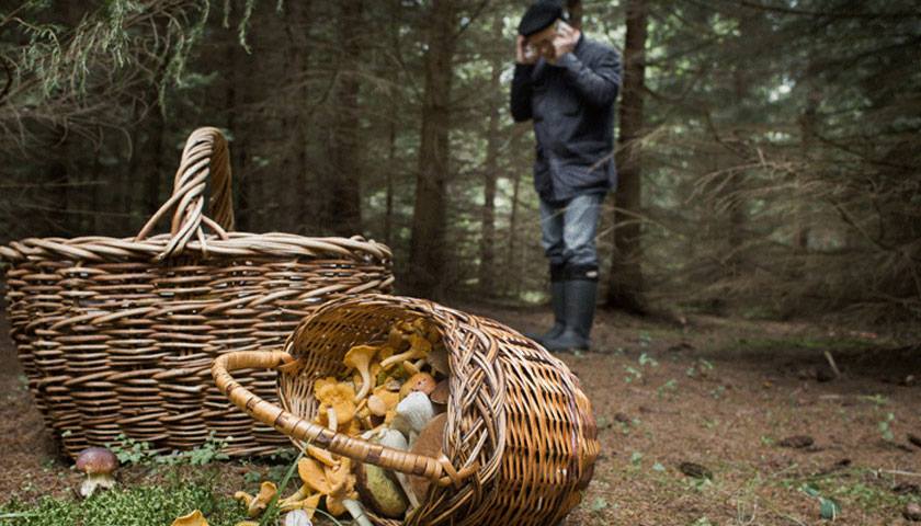 В Лісі на Косівщині заблукав дідусь