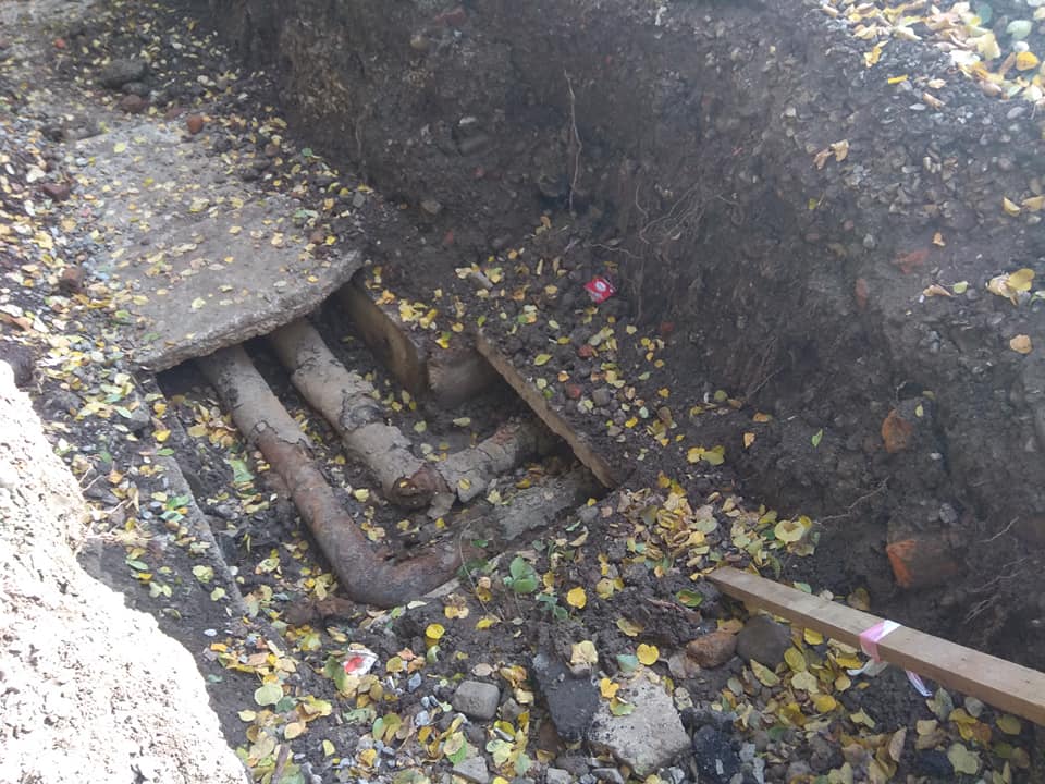 У розритій тепломережі на Бандери знайшли кошенят - комунальники хотіли закопати їх живцем ФОТО