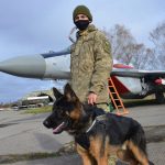 У Франківську військові собаки склали залік