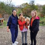 Прикарпатські волонтери продовжують прилаштовувати безпритульних тварин у добрі руки ФОТОРЕПОРТАЖ
