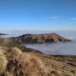 Окутані хмарами: у мережі показали неймовірні світлини карпатських гір ФОТО