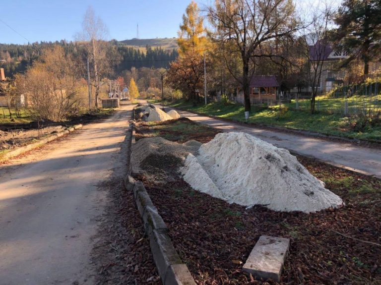 На Прикарпатті вирубали алею каштанів, аби збудувати базар посеред дороги ФОТО