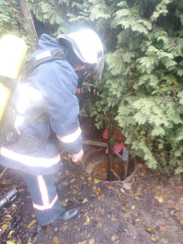 На Франківщині собака впала у колодязь, на допомогу приїхали рятувальники