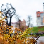 Франківська