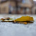 Франківська