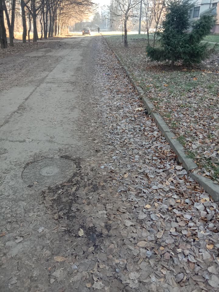 Франківці просять комунальників нарешті прибрати гниле листя з дороги біля парку ФОТО