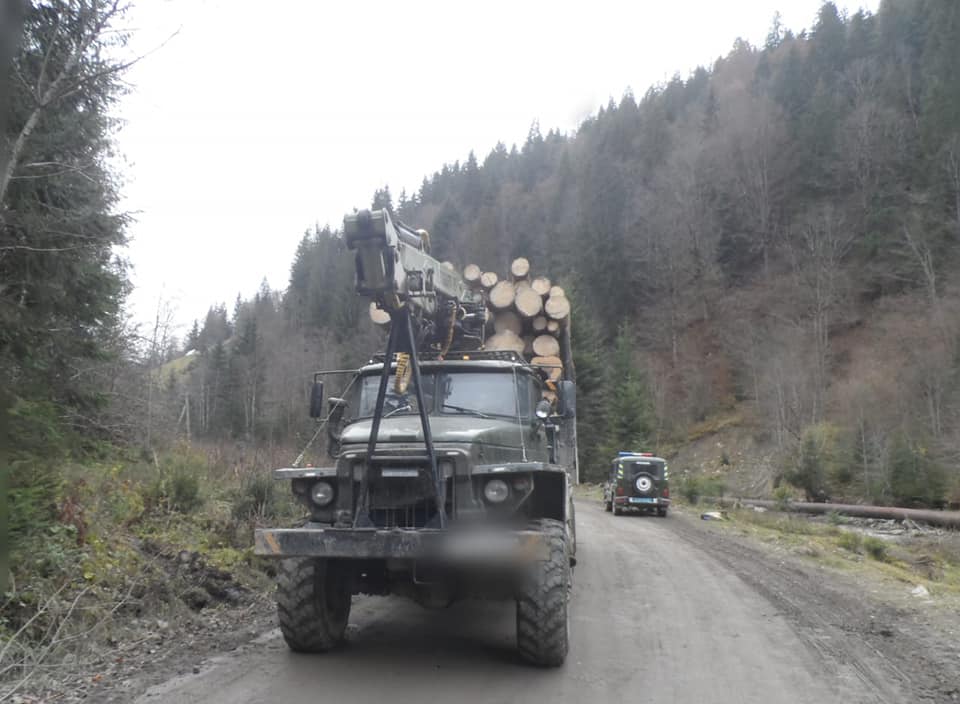 На Франківщині виявили лісовоз із необлікованим лісом ФОТО