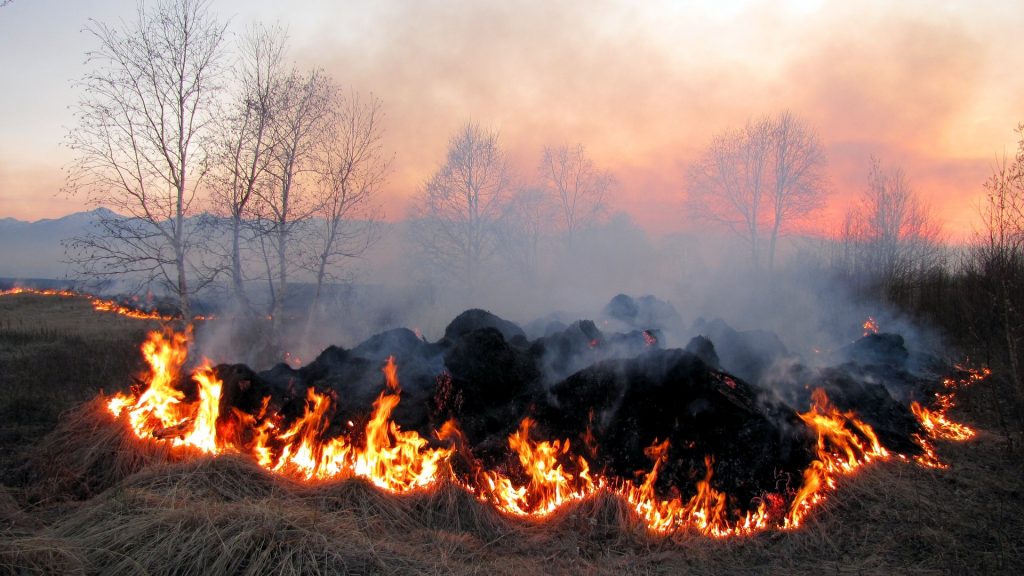 На Франківщині горіло сміття, трава та будинок