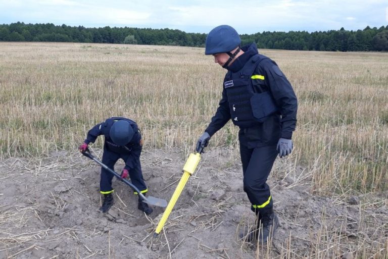 В полі, на кладовищі та в лісі: на Прикарпатті продовжують виявляти застарілі боєприпаси