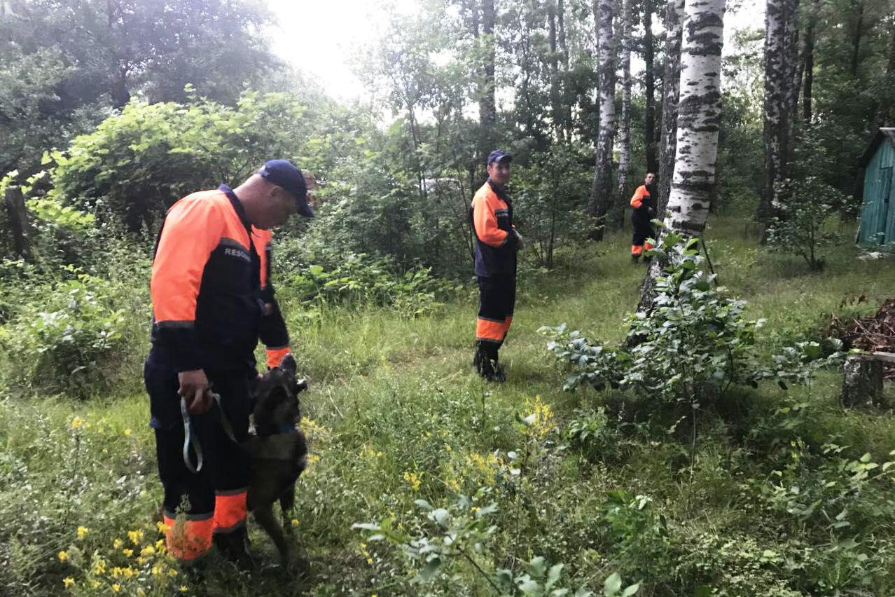 На Прикарпатті у лісі другу добу шукають чоловіка