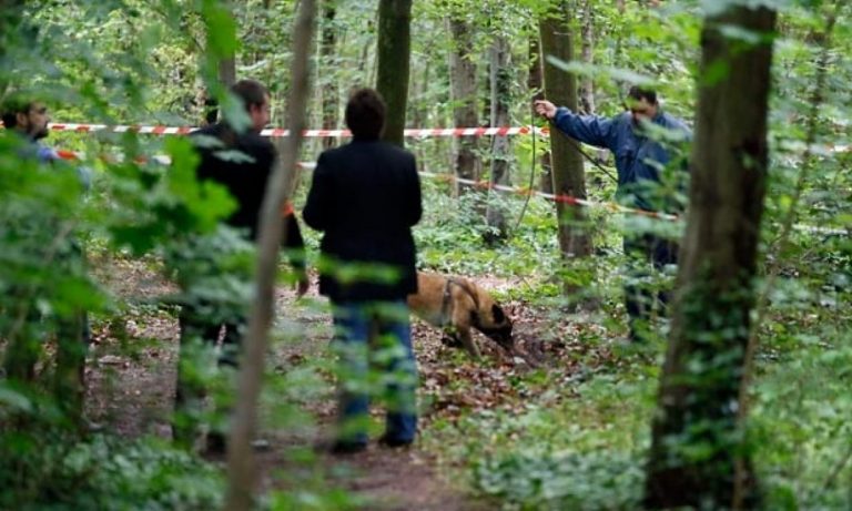 У лісі на Франківщині знайшли бездиханне тіло зниклого більше тижня тому пенсіонері