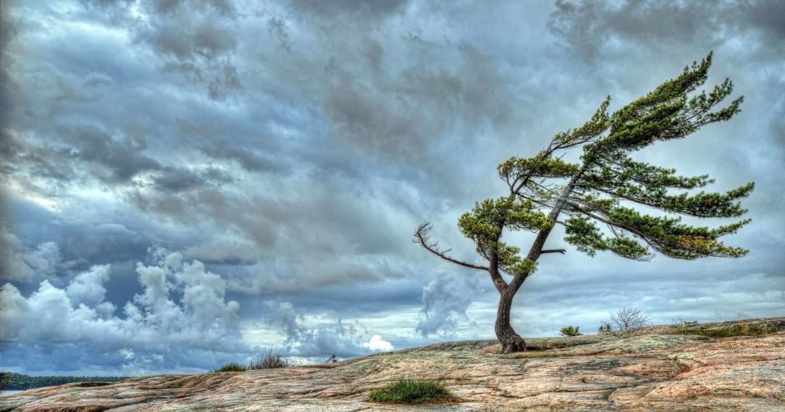 На Прикарпатті очікується посилення вітру