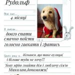 Хочуть нову домівку: тваринки з “Дому Сірка” написали зворушливі листи до Святого Миколая