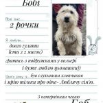 Хочуть нову домівку: тваринки з “Дому Сірка” написали зворушливі листи до Святого Миколая