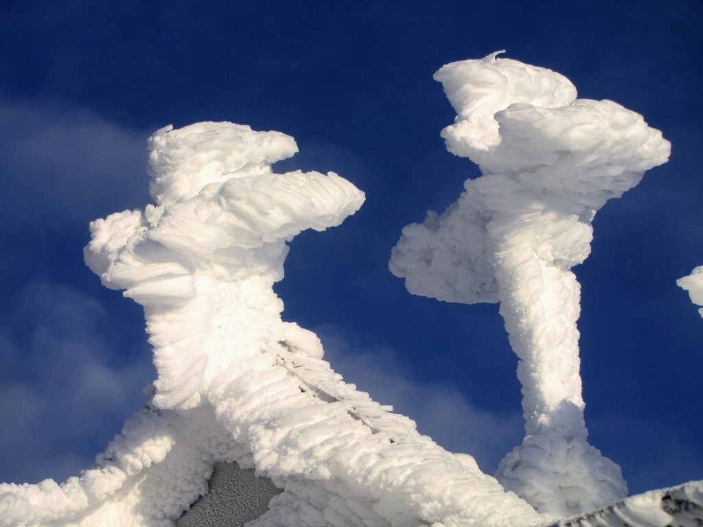 У мережі показали неймовірні світлини зимового ранку у вкритих снігом Карпатах ФОТОРЕПОРТАЖ
