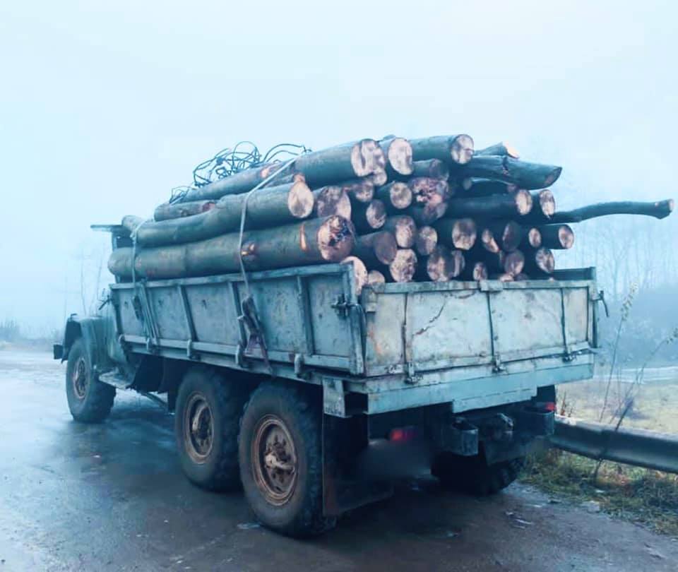 На Богородчанщині затримали двох крадіїв деревини ФОТО