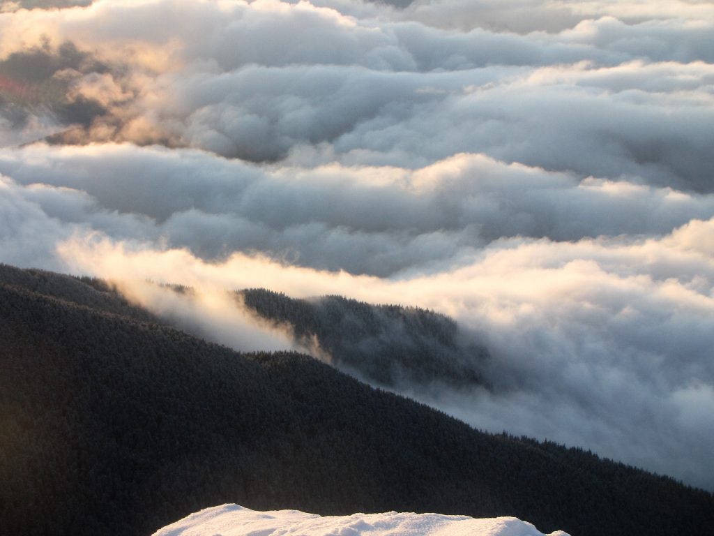У мережі показали неймовірні світлини зимового ранку у вкритих снігом Карпатах ФОТОРЕПОРТАЖ