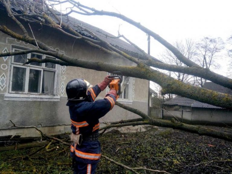 Прикаратські надзвичайники розпилювали повалене дерево, яке пошкодило будинок ФОТО