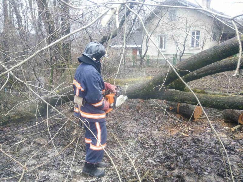 Прикарпатські надзвичайники розпилювали повалене дерево, яке пошкодило будинок ФОТО