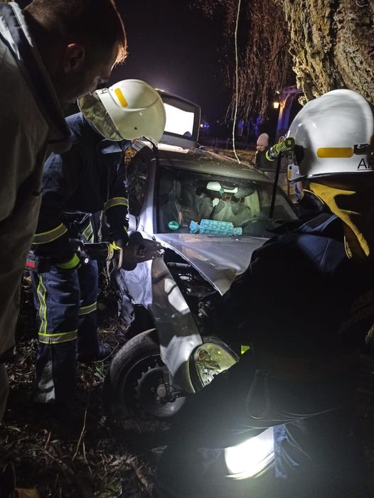 Зупинило дерево. В карколомній вечірній аварії біля Франківська травмувалась 27-річна киянка