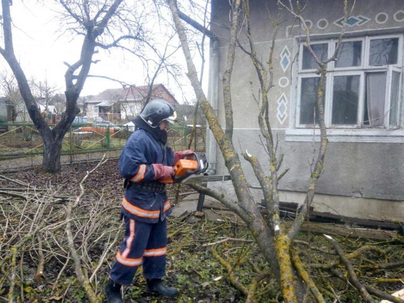 Прикарпатські надзвичайники розпилювали повалене дерево, яке пошкодило будинок ФОТО